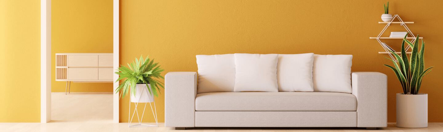 Mahalaxmi Paints Nepal product details
